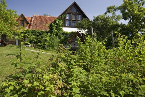 a house with a bunch of bushes in front of it at Altes Gehöft am Lormanberg in Kirchberg an der Raab