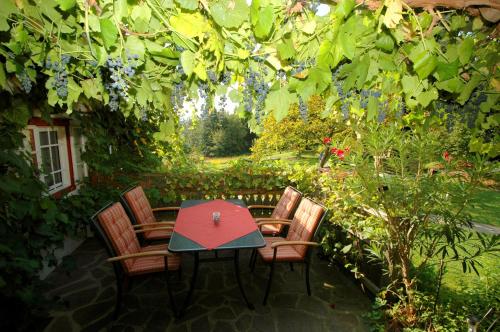 a patio with a table and chairs in a garden at Altes Gehöft am Lormanberg in Kirchberg an der Raab