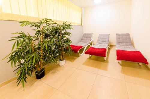 a waiting room with two chairs and two plants at Michels Hanseatic Hotel Norderney in Norderney