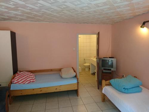 ザモシチにあるOśrodek Wypoczynkowy Duetのベッド2台とテレビが備わる客室です。