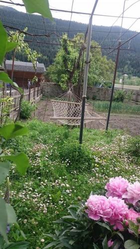 a bunch of pink flowers in a field at N&N Guest House in Mestia