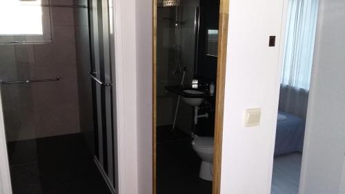 グディニャにあるMirka Apartmentの小さなバスルーム(トイレ、シャワー付)