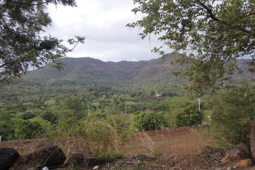 Landskap semula jadi dekat dengan penginapan di ladang