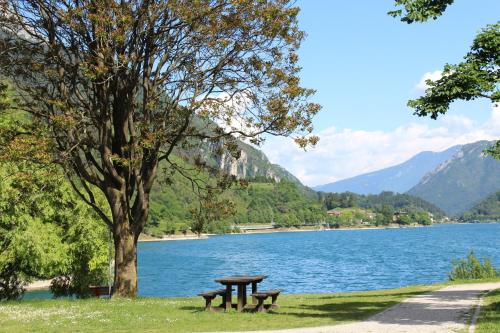 a picnic table next to a tree next to a lake at Agriturismo al Marter in Ledro