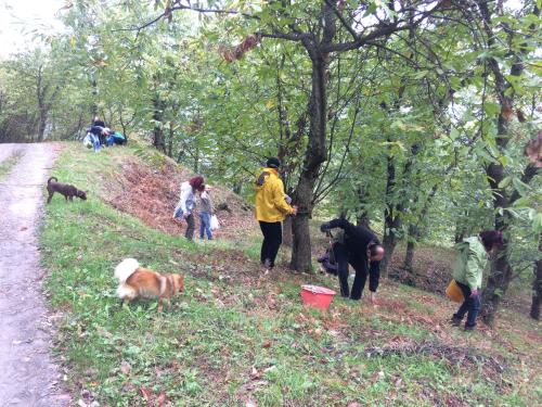 a group of people and dogs in the woods at b&b LATORDICELLA in Castel del Rio