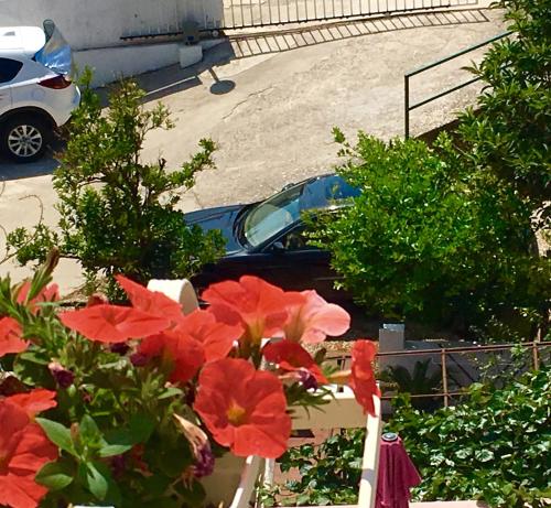 Gallery image of Luxury Apartments Marhella & Jakov in Makarska