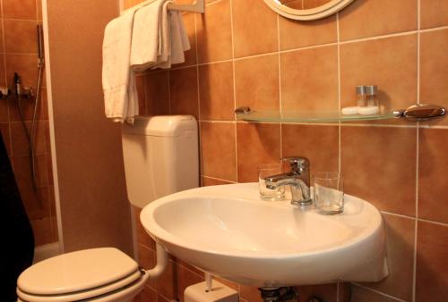 a bathroom with a sink and a toilet at House Raduha - depandansa in Luče