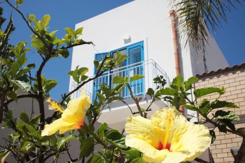 a yellow flower in a tree next to a building at Rivazzurra Design Rooms in San Vito lo Capo