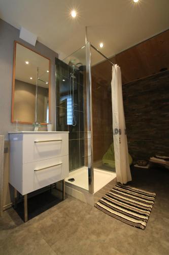 a bathroom with a shower and a white dresser with a sink at Le Nid Bord De La Loire in Orléans