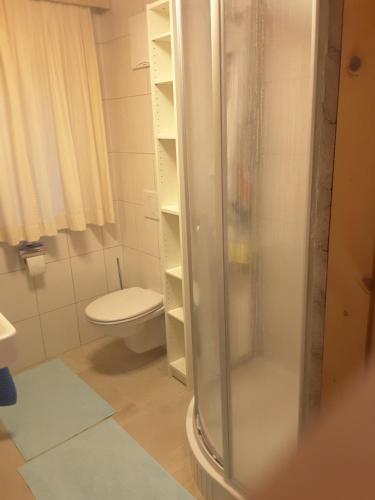 a bathroom with a shower and a toilet at Steinwandhütte in Stummerberg