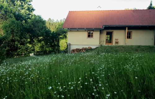 a house in a field of grass and flowers at Outline chata Svetla in Hartmanice