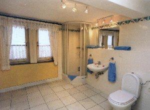 een badkamer met een toilet en een wastafel bij Altstadtgasthof Krone in Eschwege