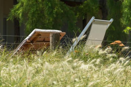 an old refrigerator sitting on top of a field of grass at Hotel Boutique Posada Piedras Blancas in Santa Rosa