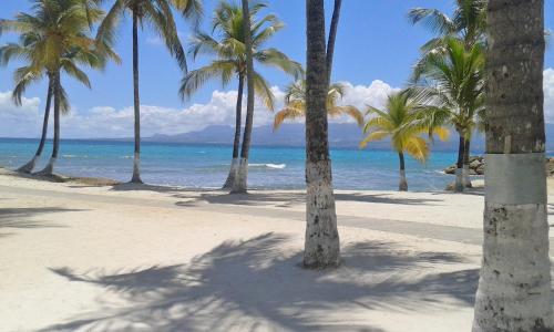 Studio Sable Cannelle