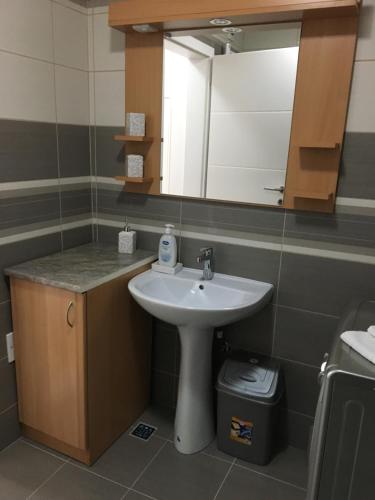 un baño con lavabo y espejo en Apartment Smestaj B, en Novi Pazar