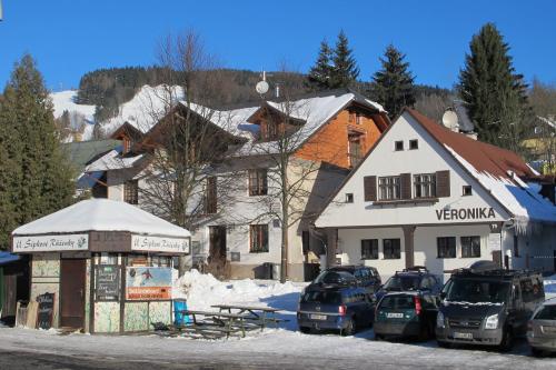 a group of cars parked in front of a building at Horský dům Veronika in Cerny Dul