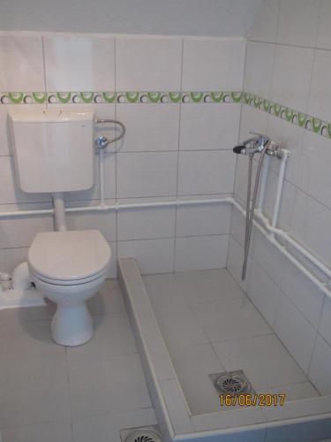 a white bathroom with a toilet and a shower at Guest House Baranin Pitomine in Žabljak
