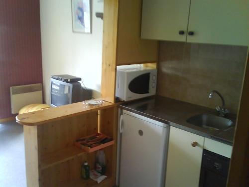 eine kleine Küche mit einer Spüle und einer Mikrowelle in der Unterkunft studio gresse en vercors in Gresse-en-Vercors