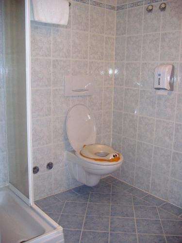 Gallery image of Hotel Zlatni Lav in Martinšćica