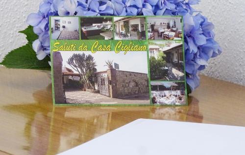 a collage of photos of a house on a table at Casa Cigliano in Ischia