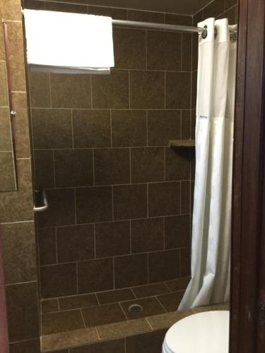 a bathroom with a shower curtain and a toilet at Best Motel in Johnston Corners