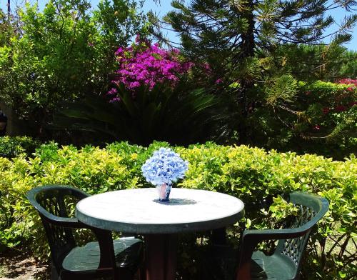 a table and chairs with a vase of flowers on it at Casa Cigliano in Ischia
