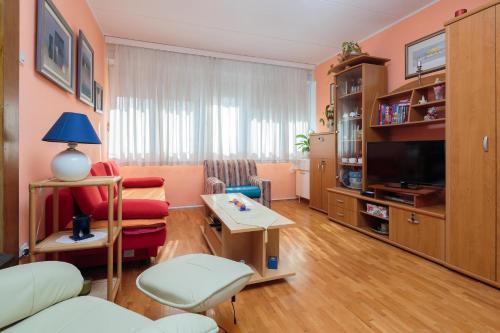 TV a/nebo společenská místnost v ubytování Apartment Karolina