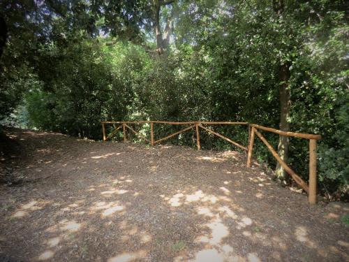 a wooden bridge in the middle of a forest at Villa Pilar in Toscana con piscina ultrapanoramica in Montevettolini