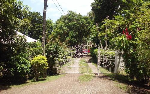 an entrance to a garden with a gate at Shades Cottage Guesthouse in Blue Hole
