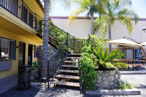 a staircase leading to a building with a palm tree at Casa Bella Inn Downtown LA in Los Angeles