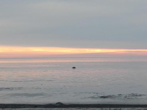 a view of the ocean at sunset with a rock in the water at Treimani Rannamaja in Treimani