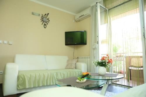 ein Wohnzimmer mit einer Couch, einem Tisch und einem Fernseher in der Unterkunft Apartments Lukic in Vrnjačka Banja