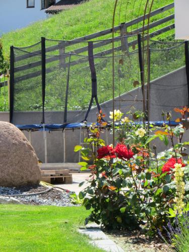 a garden with red flowers and a swing at Apart Sunshine in Ladis