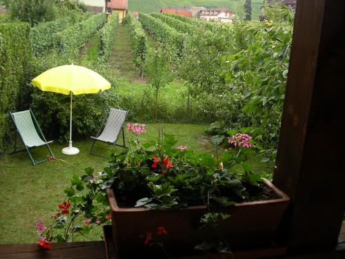 a patio with two chairs and an umbrella and flowers at Gite-Annie in Hunawihr