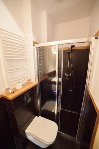a bathroom with a shower and a toilet at My place in Poznan in Poznań