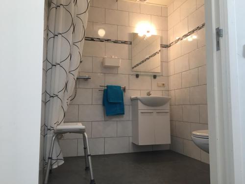 y baño con lavabo y aseo. en Minicamping de Lindehoef, en Moergestel