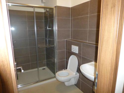 een badkamer met een toilet, een douche en een wastafel bij Apartmány Kouty - Jeseníky in Loučná nad Desnou