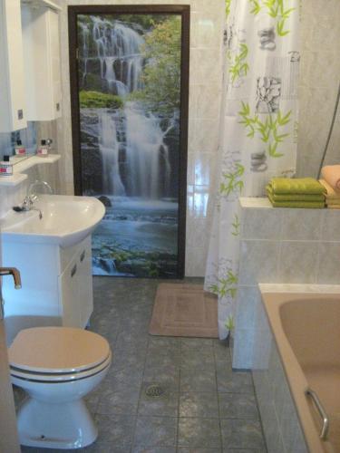 a bathroom with a toilet and a waterfall shower curtain at Guesthouse Pavličić in Drežnik Grad