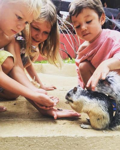 a group of children playing with a small animal at Massai Apartments in Playa Flamingo