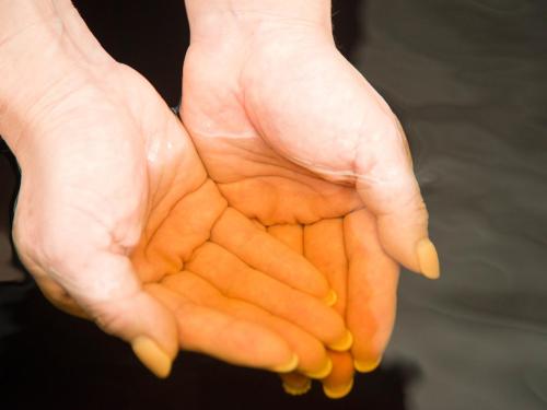 a pair of hands holding a bunch of carrots at Iioka Shiosai Hotel in Asahi