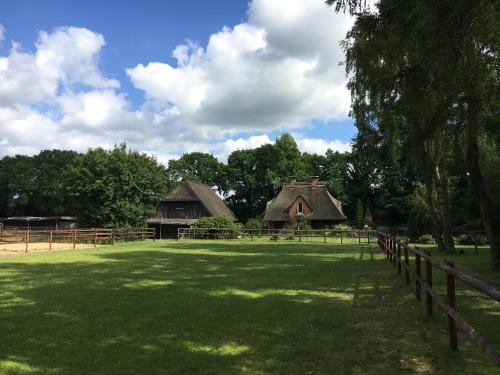 a field with two thatched buildings and a fence at Huck’s Ferienhäuser in Borstel