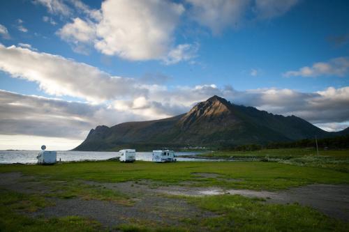 two camels parked in a field next to a mountain at Rystad Lofoten Camping in Rystad