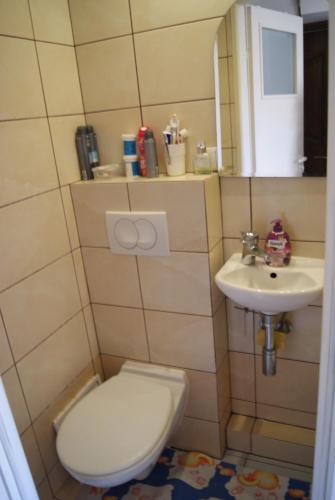 a small bathroom with a toilet and a sink at Apartamenty Oliwa in Gdańsk