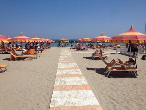 a beach with chairs and umbrellas and people on it at Hotel & Residence Cavalluccio Marino in Rimini