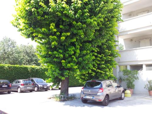 a car parked next to a tree in front of a building at Hotel Post in Bergamo