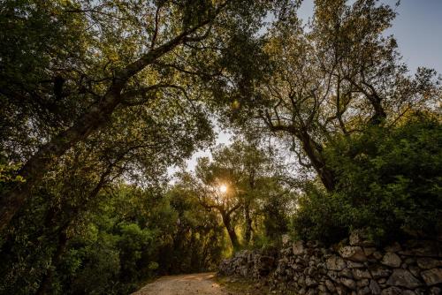 Gallery image of Mazourka in Stavros