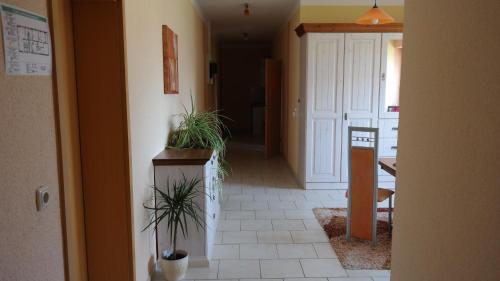 a hallway with two potted plants on a counter at Landpension Wendfeld in Sanitz