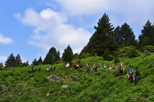 a group of people walking up a grassy hill at Hotel Castle Park in Berat