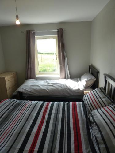 a bedroom with two beds and a window at Mary's Meadow in Doolin