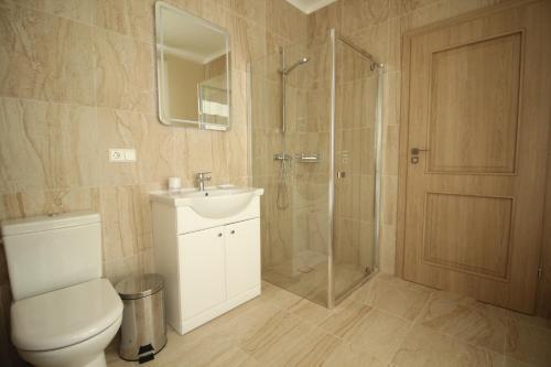 a bathroom with a shower and a toilet and a sink at Vytauto vila in Palanga